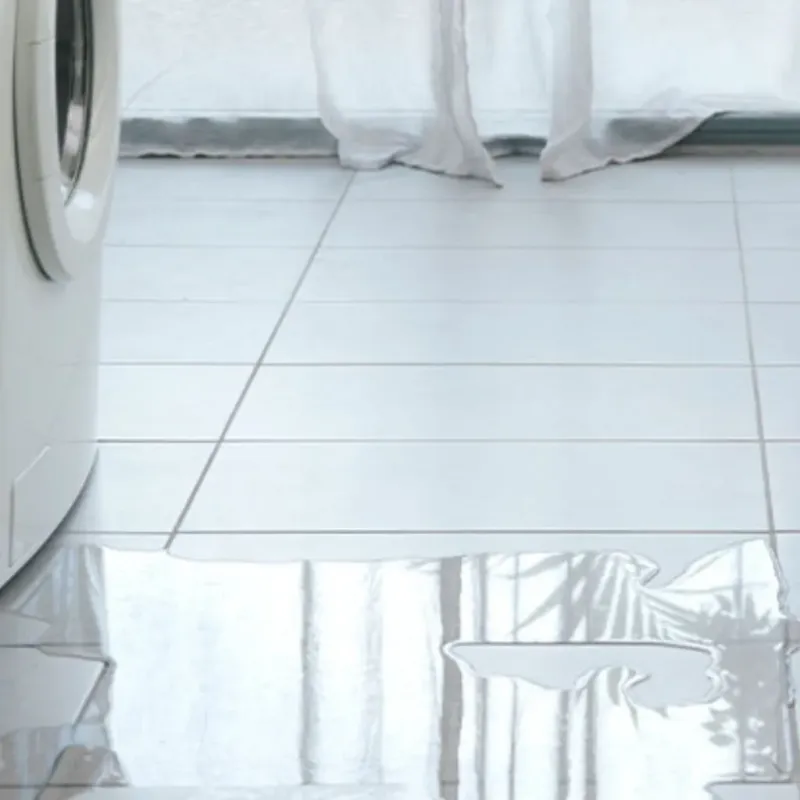 Appliance Leak Cleanup in Fayette, AL