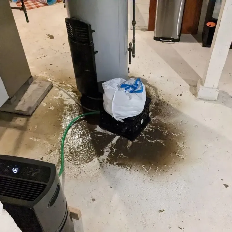 Sewage Backup Cleanup Service in Fayette, AL